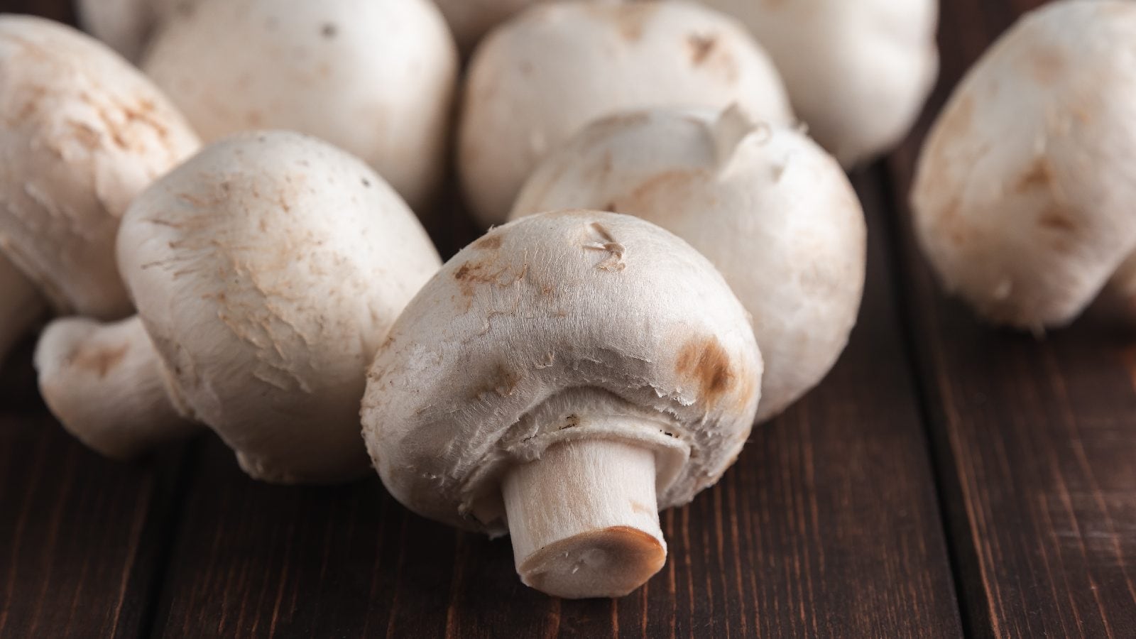 know different types of mushrooms can help to overcome hormonal imbalance. जानें हाॅर्मोन्स को बैलेंस कर यौन एवं प्रजनन स्वास्थ्य में सुधार कर सकती है मशरूम।