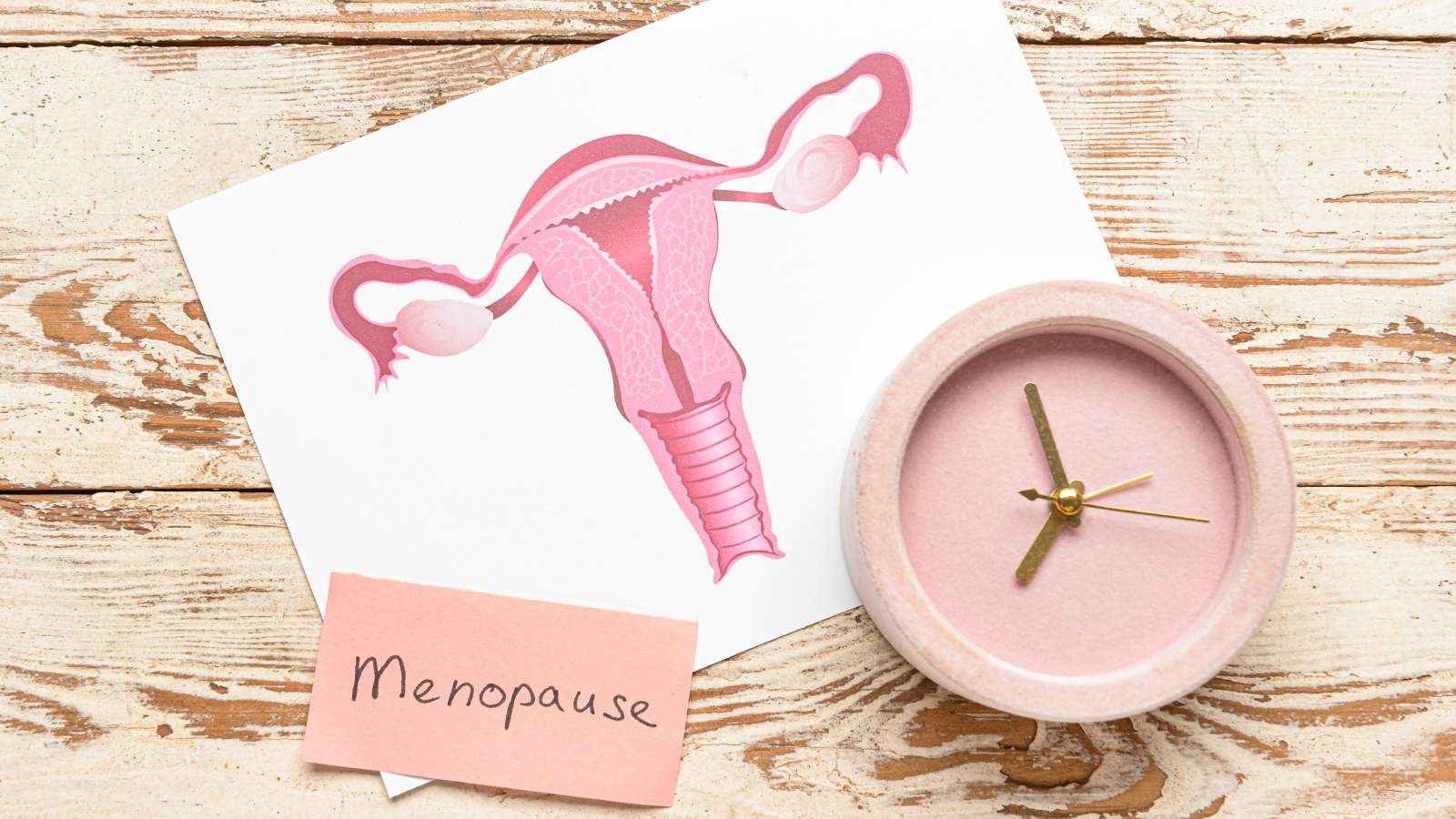menopause mei protein, मेनोपॉज में प्रोटीन कितना जरूरी है 