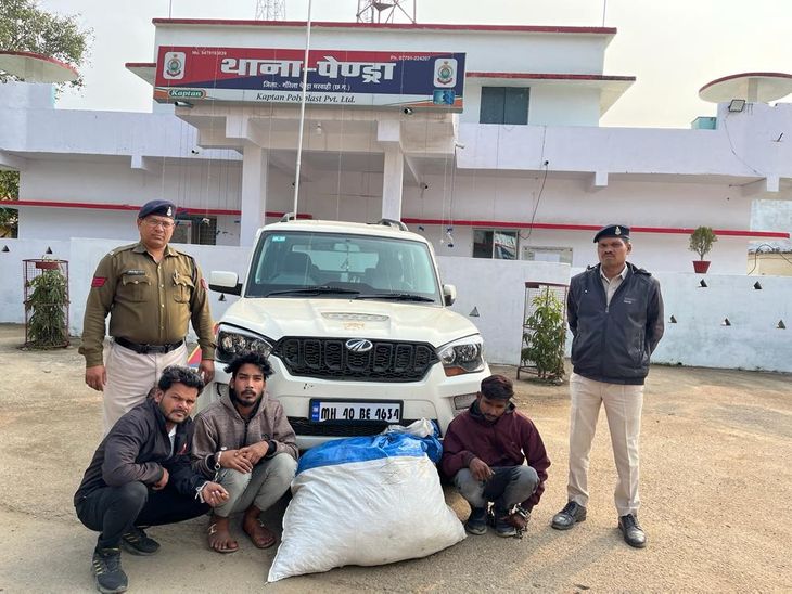 Police have arrested 3 accused involved in interstate ganja smuggling in Pendra | GPM में गांजा की तस्करी करते 3 गिरफ्तार: बिलासपुर से मध्यप्रदेश जा रहे थे, 34.600 किग्रा गांजा बरामद, मोबाइल और कार भी जब्त
