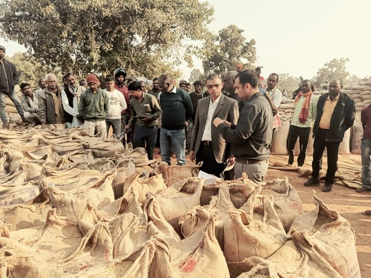 Balrampur Collector inspected paddy procurement centers | बलरामपुर कलेक्टर ने धान खरीदी केंद्रों का किया निरीक्षण: बड़कीमहरी और महराजगंज का निरीक्षण, व्यवस्थाओं का लिया जायजा