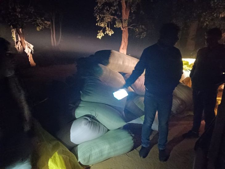 illegally stored 90 sacks of paddy seized in Balrampur | बलरामपुर में 90 बोरी अवैध धान जब्त: झारखंड से लाकर गांव के जंगल में छुपाया, एक गांव से 40 दूसरे से 50 बोरी बरामद