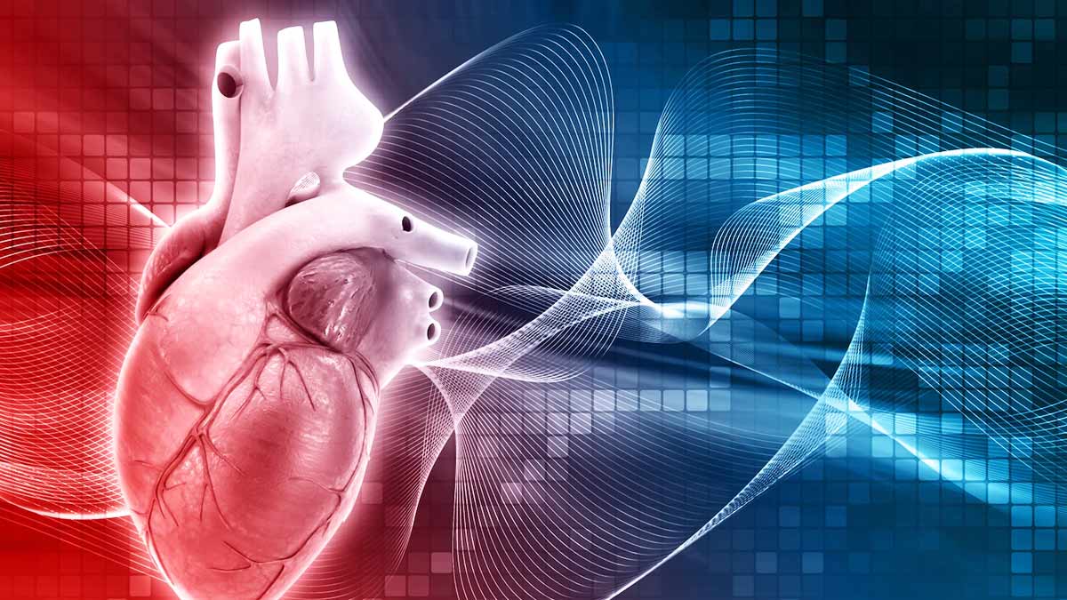 Warning Signs And Risk Factors Of Congestive Heart Failure